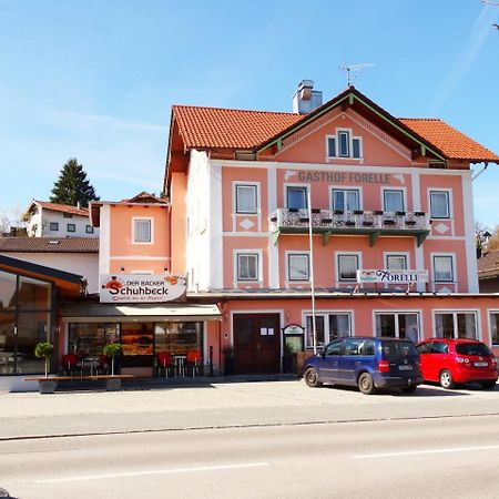 Hotel Gasthof Forelle Зигсдорф Экстерьер фото