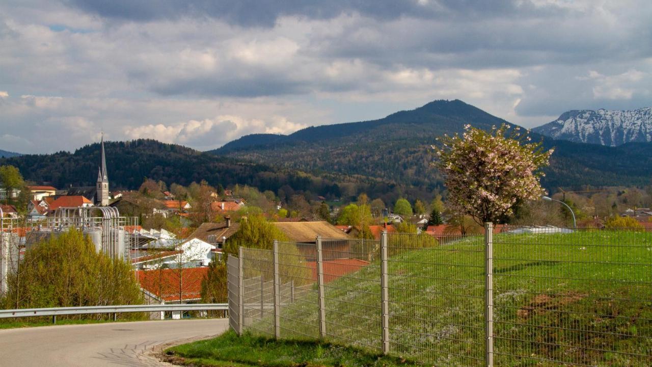 Hotel Gasthof Forelle Зигсдорф Экстерьер фото